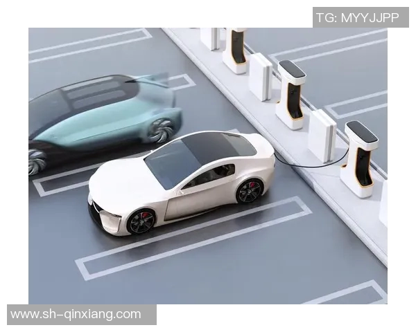 福建浔兴股份年度财报亮眼，净利润同比大增20%